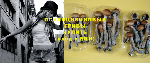 ПСИЛОЦИБИНОВЫЕ ГРИБЫ Сосновоборск