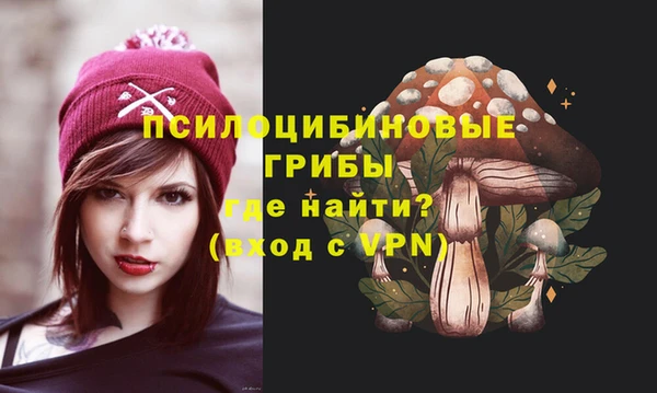 ПСИЛОЦИБИНОВЫЕ ГРИБЫ Сосновоборск