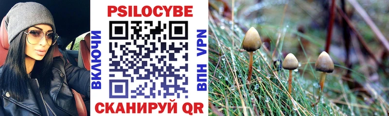 Псилоцибиновые грибы мухоморы  Купить где  Томск 